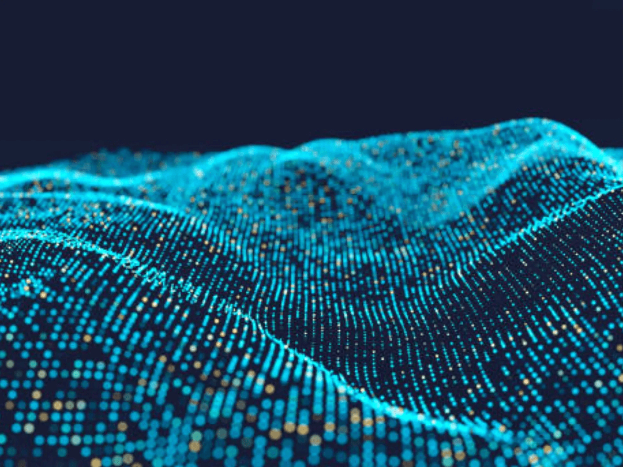 A platform to tailor Mapping and Geolocation for your business